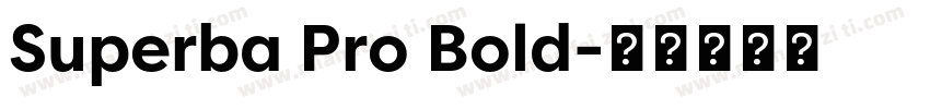 Superba Pro Bold字体转换
